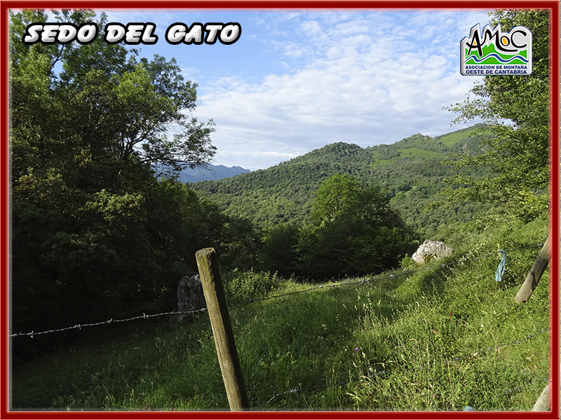 gatu004