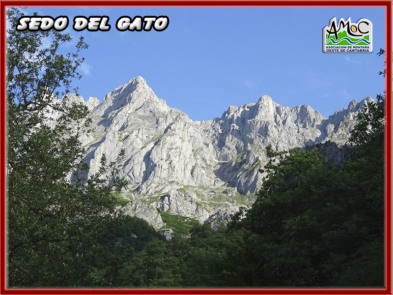 gatu005