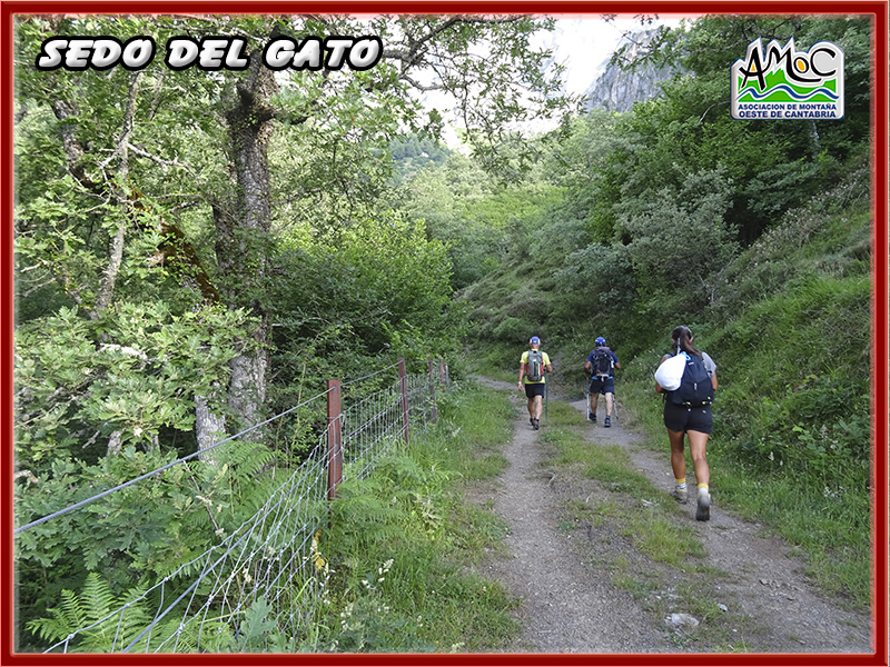 gatu006