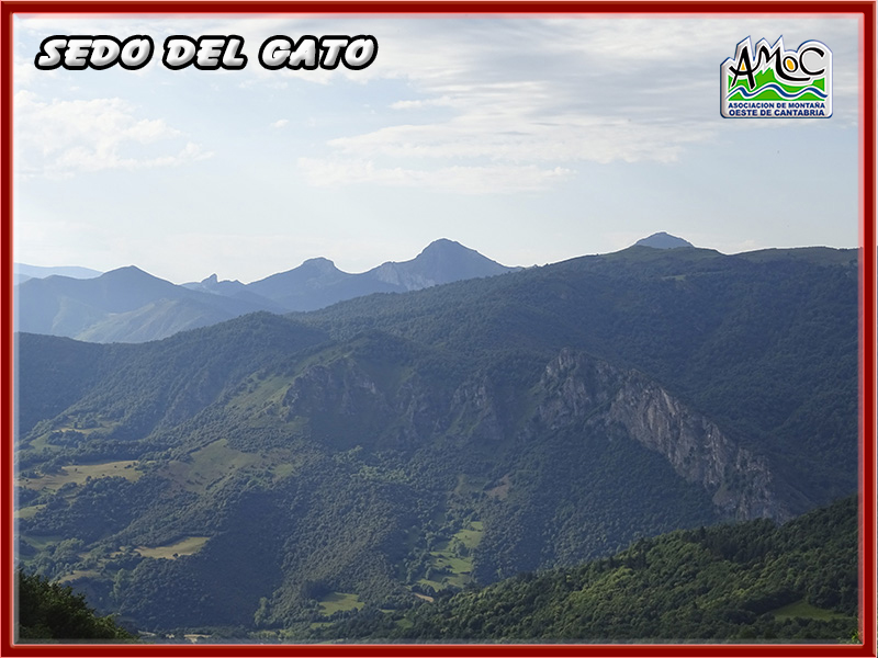gatu009