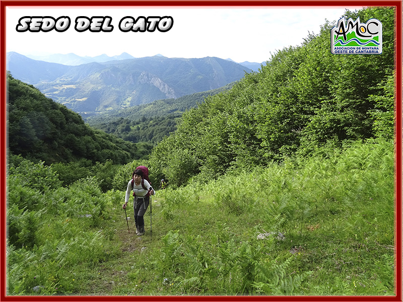 gatu010