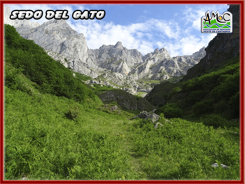 gatu011
