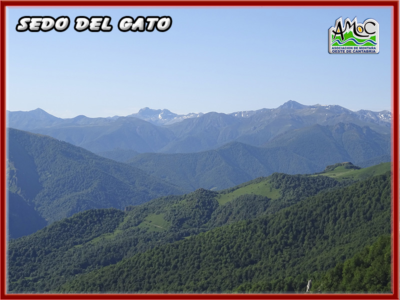 gatu012