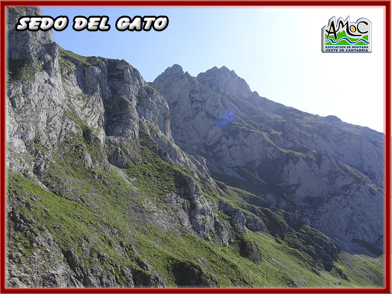 gatu014