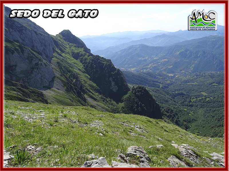 gatu016