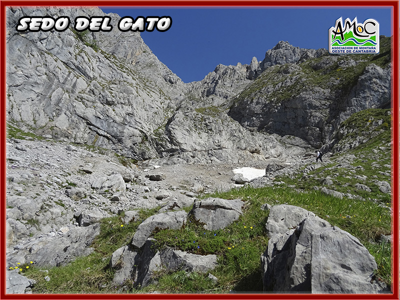gatu017