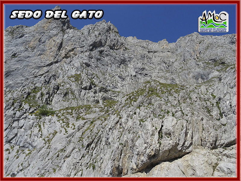 gatu018