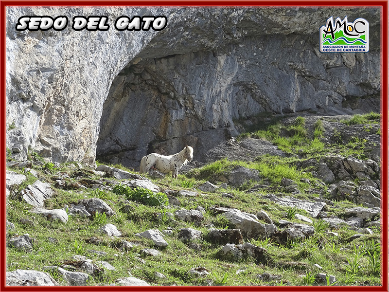 gatu021