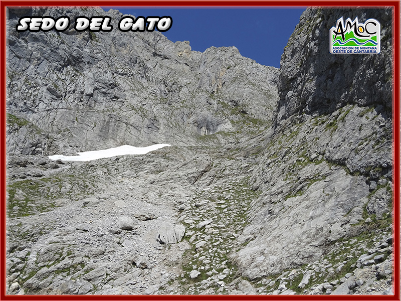 gatu022