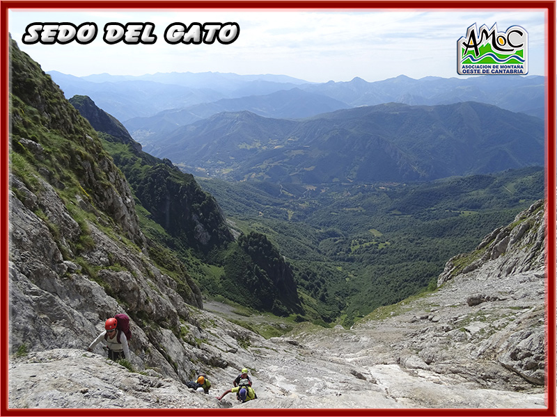 gatu023