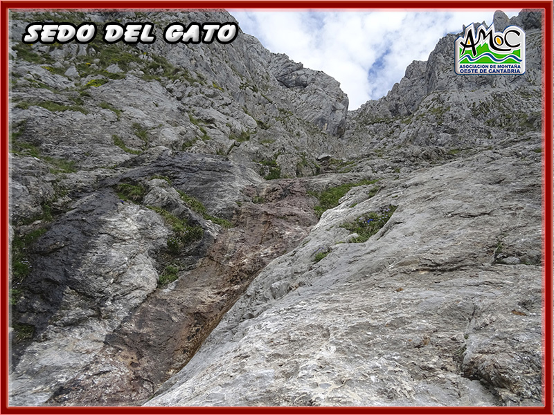 gatu024