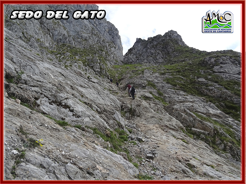 gatu026
