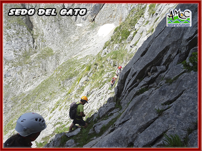 gatu028