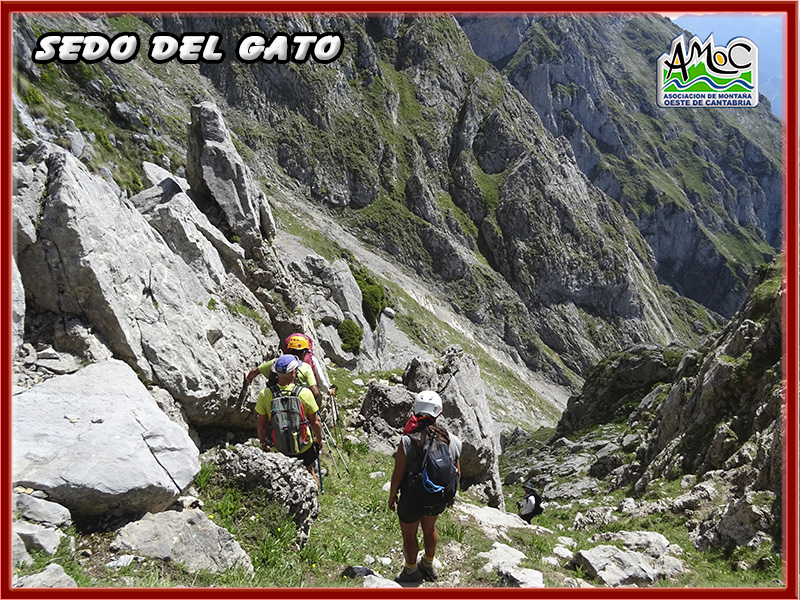 gatu029