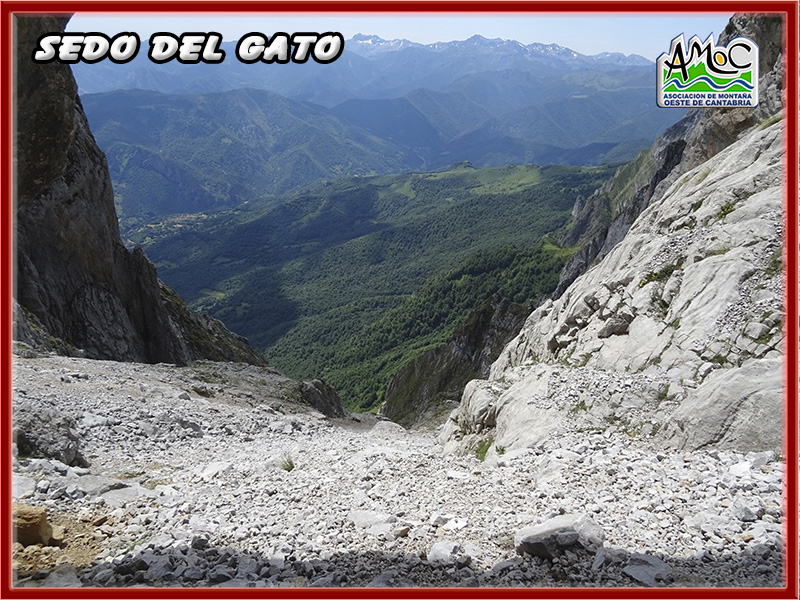 gatu031