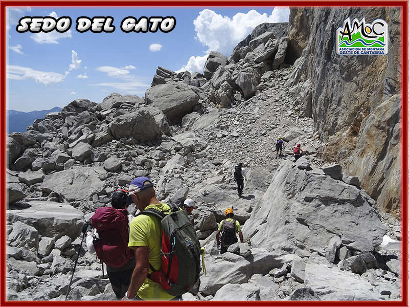 gatu035