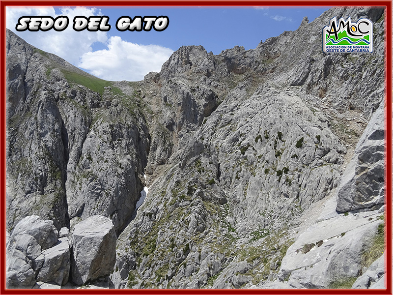 gatu036