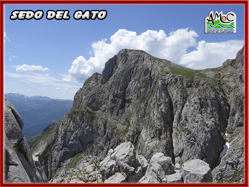 gatu037