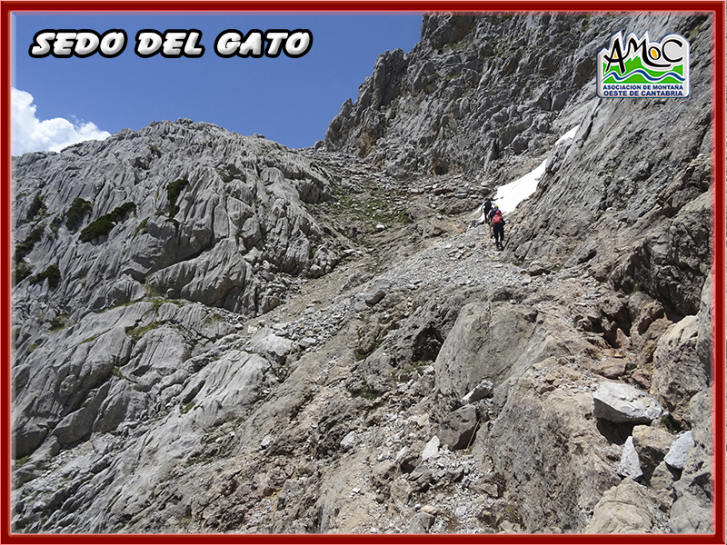 gatu038