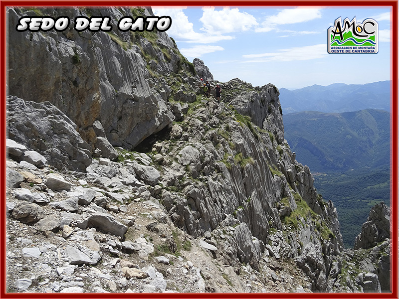 gatu039