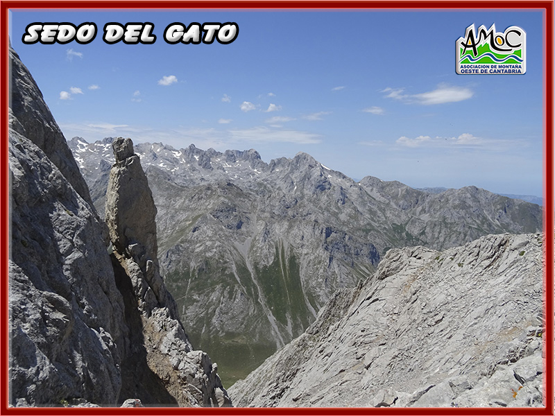 gatu043