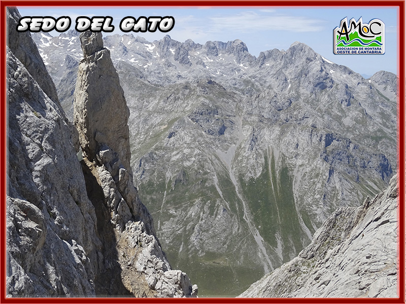 gatu044