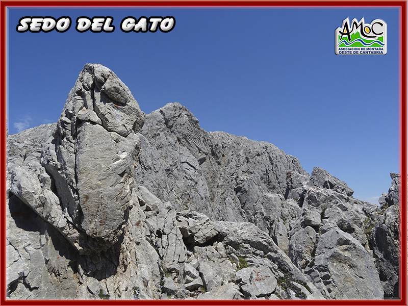 gatu045