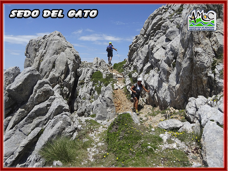 gatu047