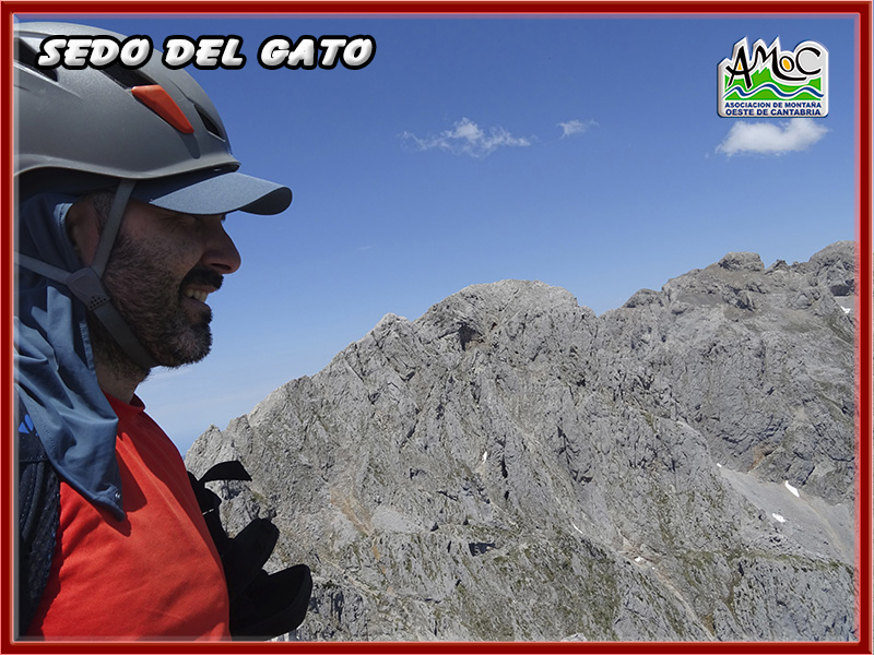 gatu048