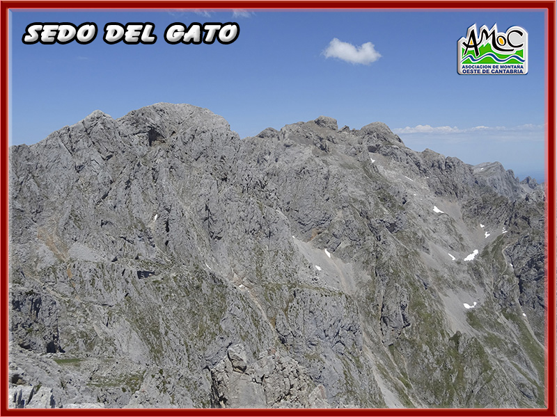 gatu049