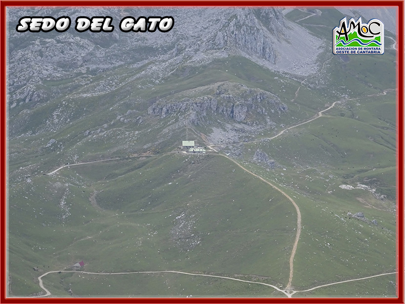 gatu057