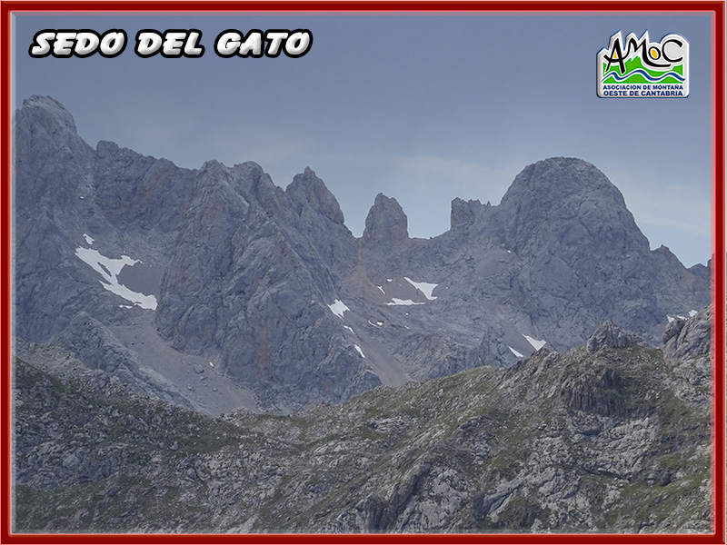 gatu059
