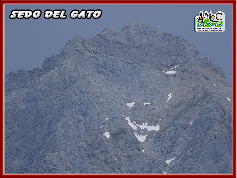 gatu060