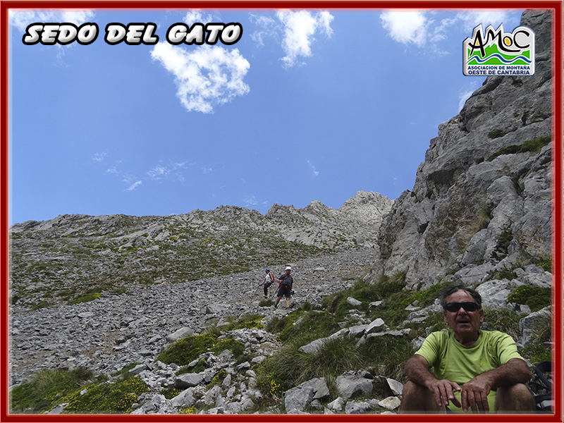 gatu061