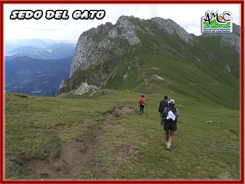 gatu062