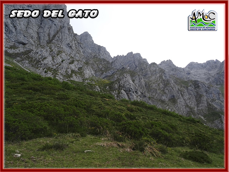gatu065