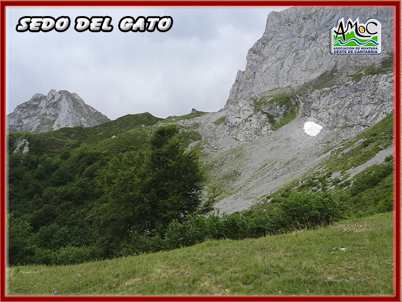gatu066