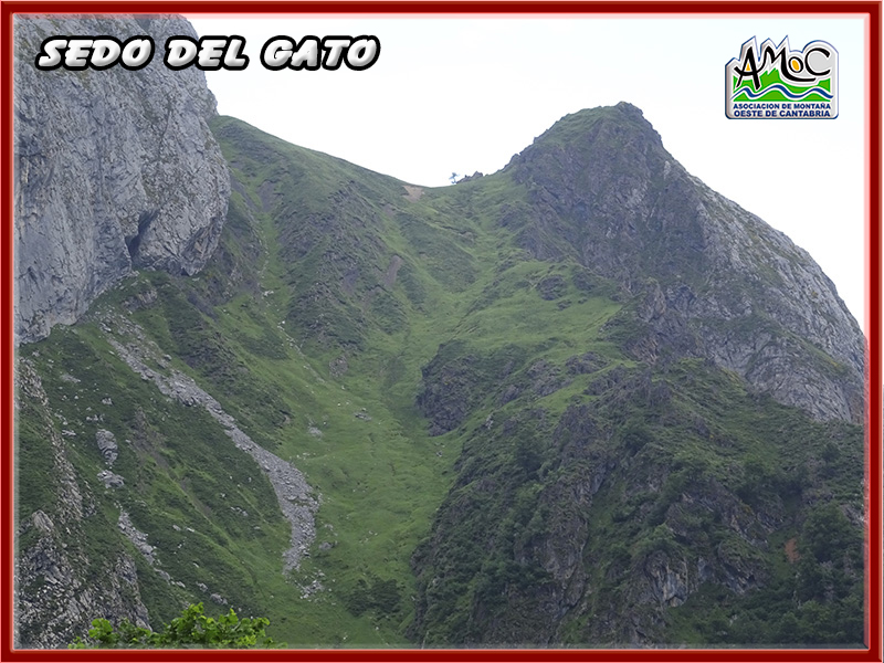gatu067