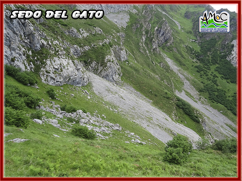 gatu068