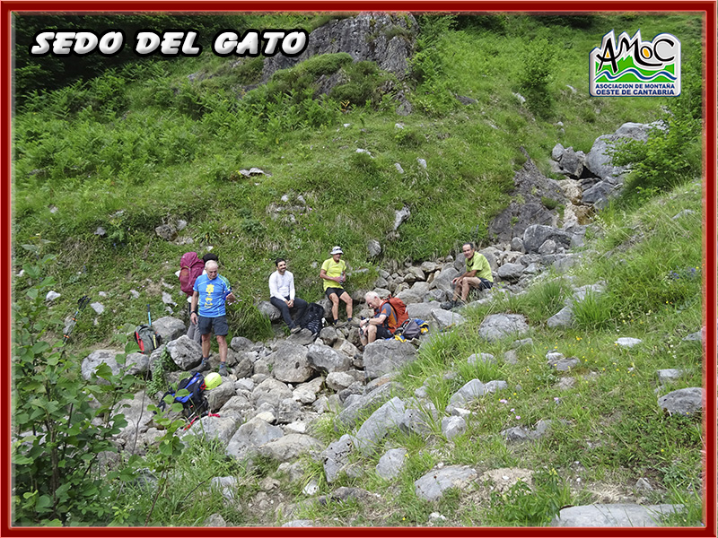 gatu069