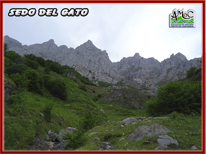 gatu070