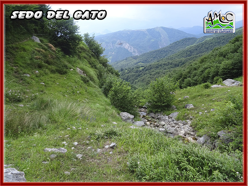 gatu071