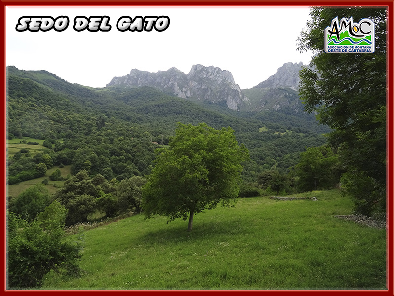 gatu073
